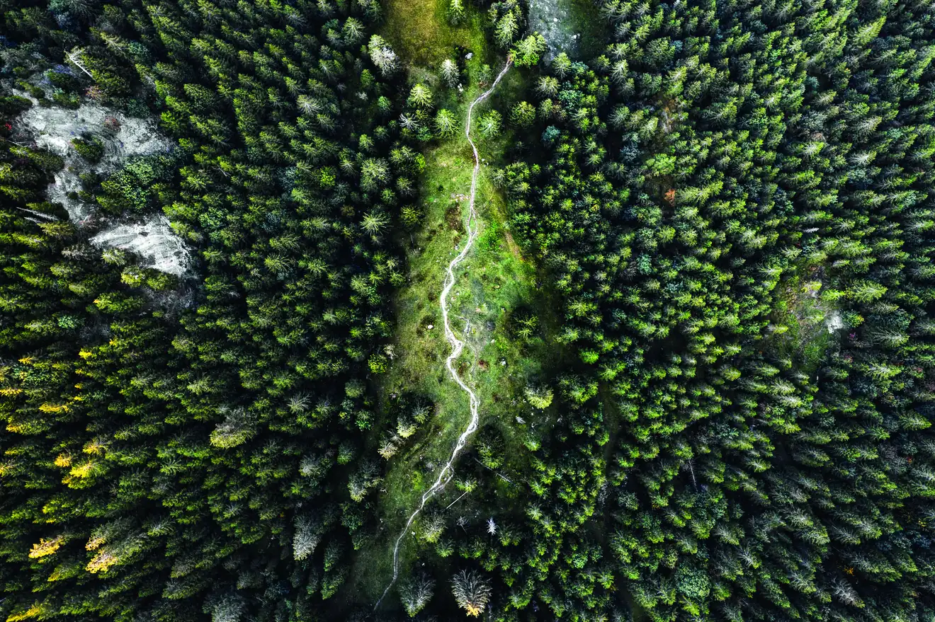 View from above