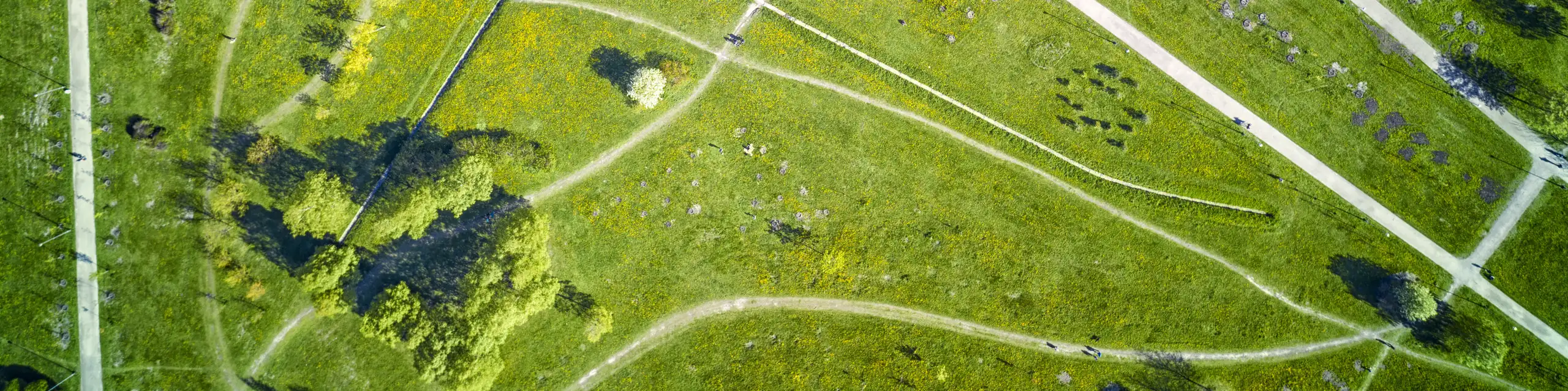 Vias de pedestres e ciclovias no parque verde no verão, Rússia.