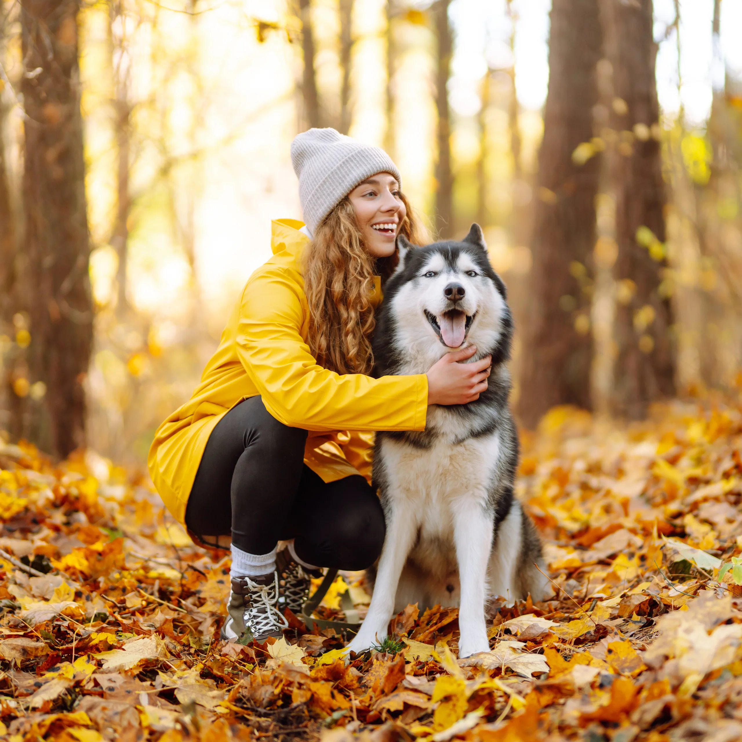 Mulher com o cachorro em floresta no outono 